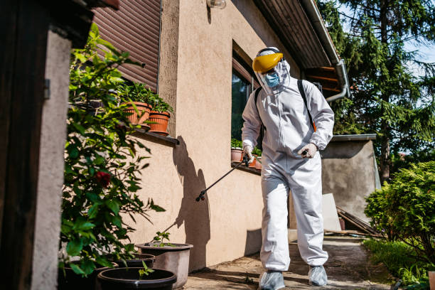 Best Wildlife Control Services  in Lorton, VA